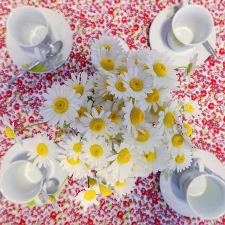 Piccola Casa - A Little Paradise * Kršan